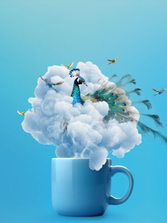 Barista Style, Werbeagentur Oberösterreich, creative minds agency gmbh